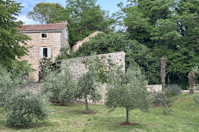 Istra, imanje, 4 kuće, velika okućnica, bazen, prodaja